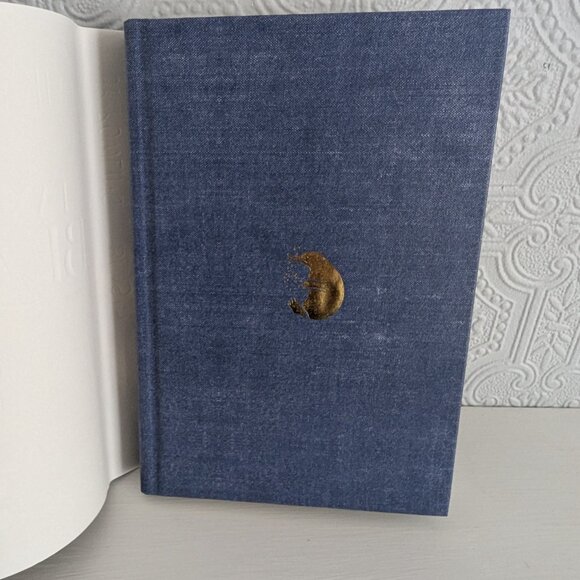 Fantastic Beasts and Where to Find Them: The Original Screenplay (Harry Potter) - Picture 7 of 10